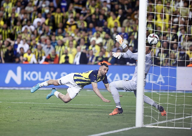 解并参与到 解并参与到