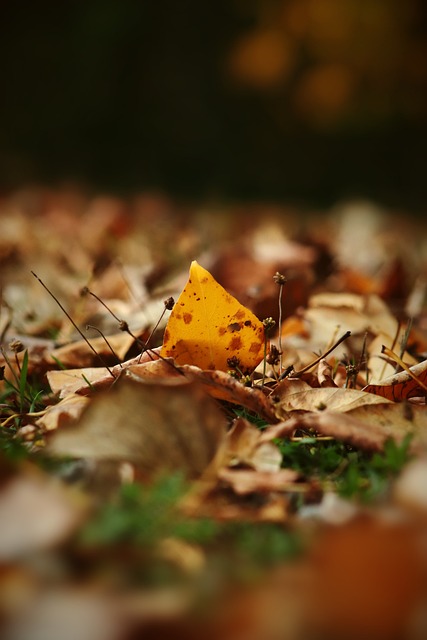 度的主要原 度的主要原