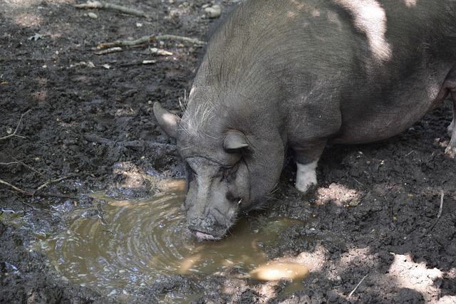 惊人化学反 惊人化学反