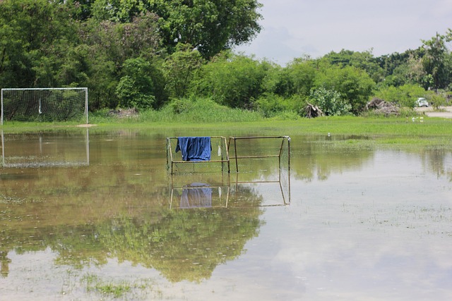 怒不可遏！杨鸣不满裁判吹罚，辽篮球权得而复失，吃T后老实了.