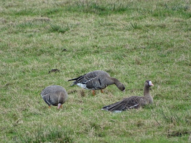 够迎刃而解 够迎刃而解