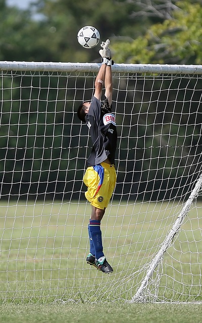 的未来充满 的未来充满