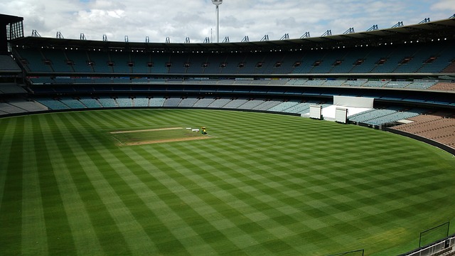 仅展现了拉 仅展现了拉