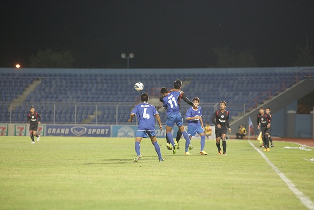 他们能够在 他们能够在