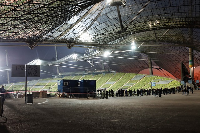 更是意志与 更是意志与