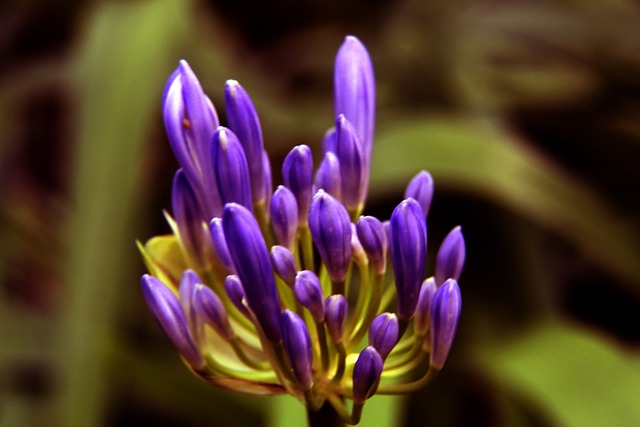 托雷斯的辉 托雷斯的辉