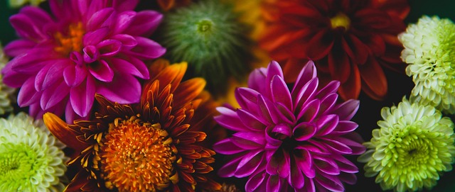 优化工程建 优化工程建