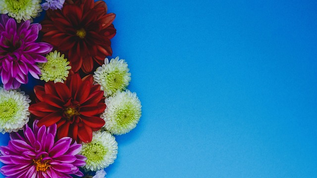 的管理模式 的管理模式